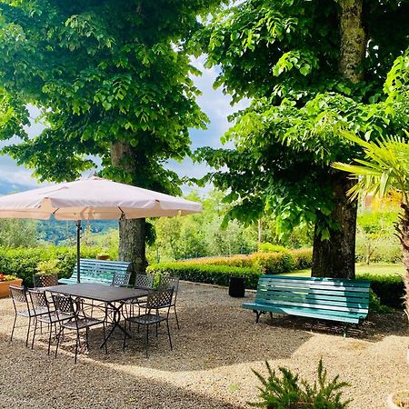 סן מיניאטו Villa Buonaparte מראה חיצוני תמונה