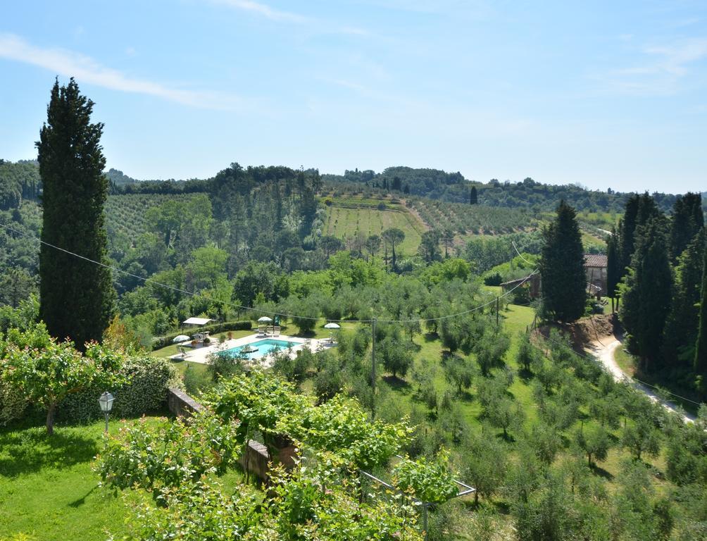 סן מיניאטו Villa Buonaparte מראה חיצוני תמונה